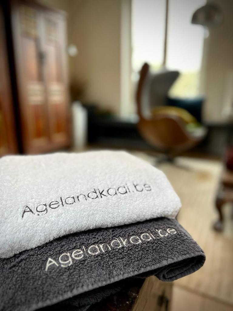 Ferienwohnung La Belletage By Agelandkaai Be With Free Parking Gent Exterior foto