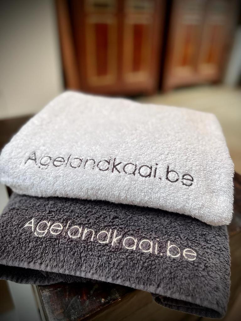 Ferienwohnung La Belletage By Agelandkaai Be With Free Parking Gent Exterior foto